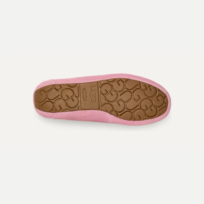 UGG Dakota נעלי האג דקוטה – תמונה 18